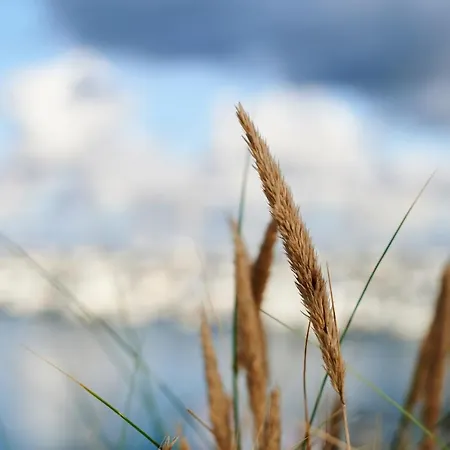 Am Lindenpark Kühlungsborn