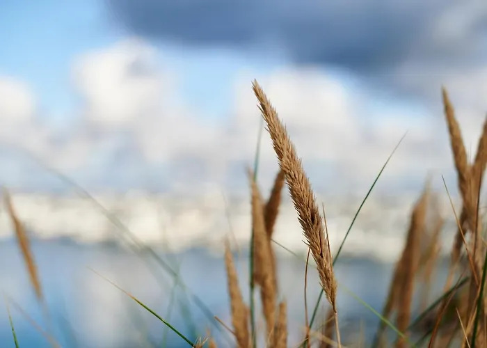 Am Lindenpark Ostseebad Kühlungsborn